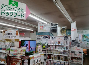 フードも豊富に取り揃えています