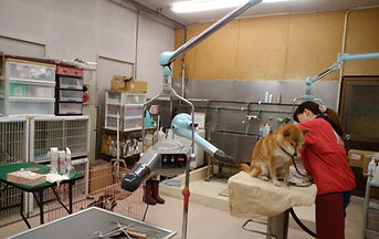 丁寧に施術します